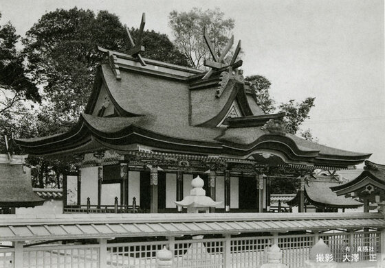 錦織神社 本殿 摂社春日社本殿 摂社天神社本殿｜建造物修理アーカイブ